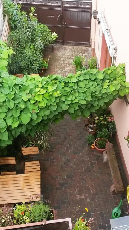 Pension Zur Schlummerstube Guntersblum Buitenkant foto
